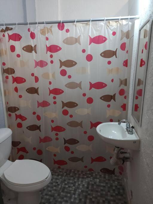 Small Studio Apt 5Min To Dt! Сиуатанехо Екстериор снимка